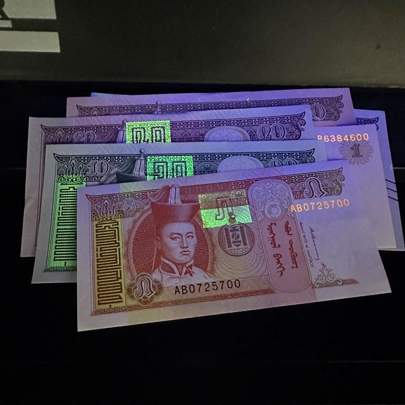 bo-tien-li-xi-ngua-mong-co-6to