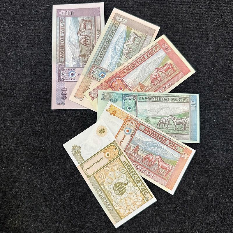 bo-tien-li-xi-ngua-mong-co-moi