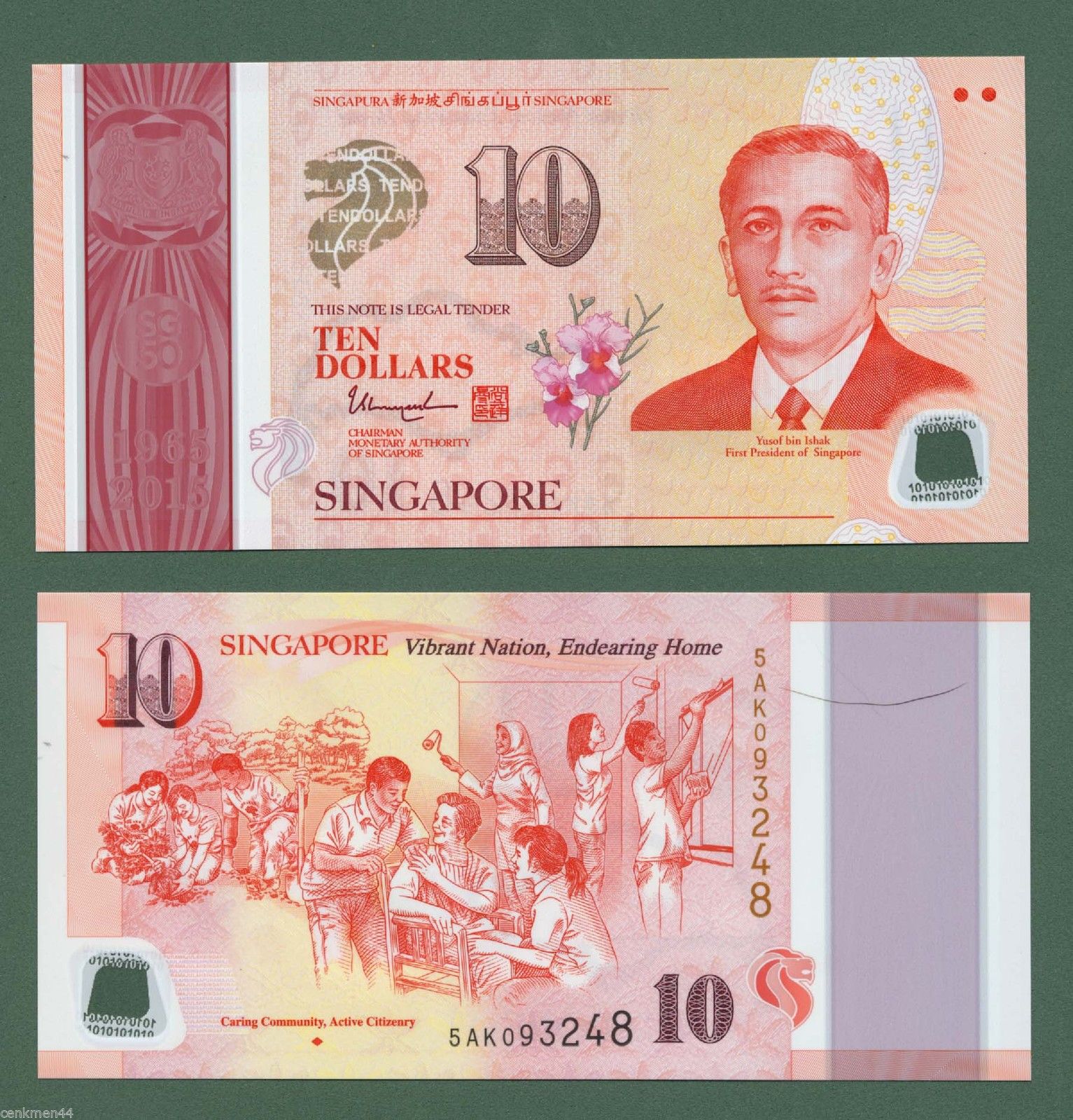 singapore10dollar2015uncpolymer_chichomingi