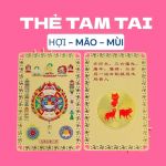 Thẻ Kim Bài Tam Tai Cho Hợi Mão Mùi – Vật Phẩm Phong Thủy Cân Bằng Vận Khí