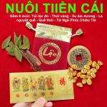 Bộ Tiền Cái 6 Món Ngũ Lộc – Vật Phẩm Phong Thủy Chiêu Tài Nuôi Tiền Hiệu Quả