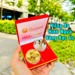 Cặp Tiền Xu Hình Con Ngựa Úc Vàng – Bạc Sưu Tầm & Trang Trí Ý Nghĩa